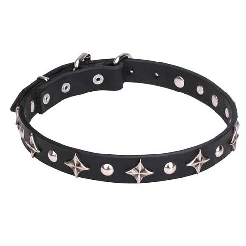 Leather Dogue de Bordeaux Collar with Chrome Plated Stars and Studs