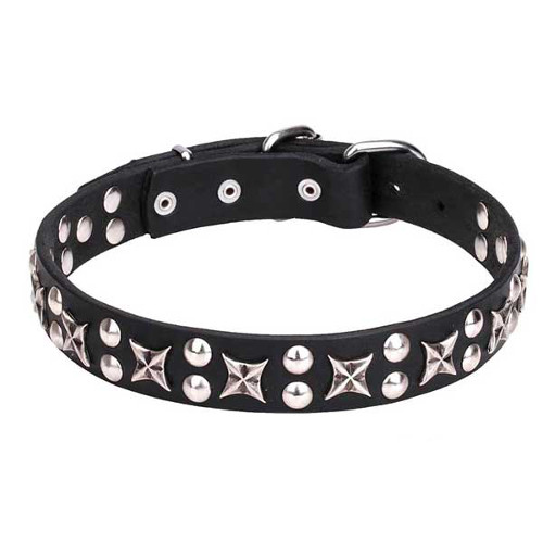 "Planets and Stars" Posh Leather Dogue de Bordeaux Collar with Chrome Plated Fittings