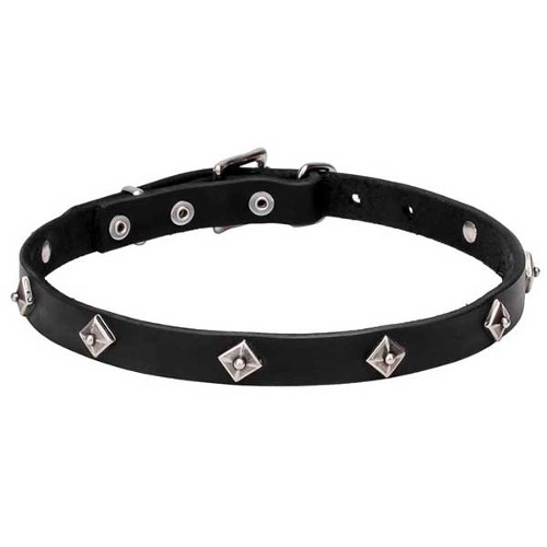 Extra Strong Leather Dogue de Bordeaux Collar with Studs