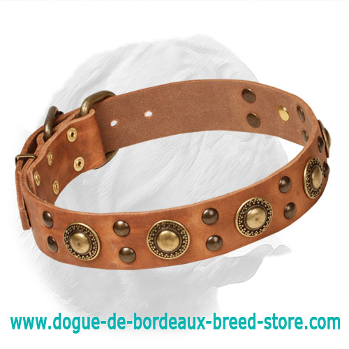 Awesome "Space-Like" Dogue de Bordeaux Leather Collar