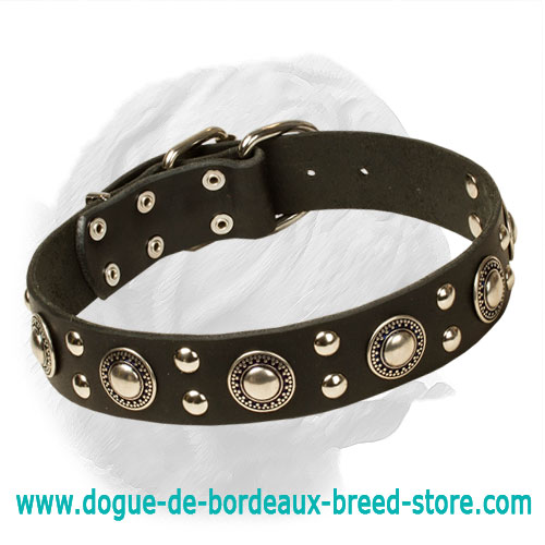 Reliable Dogue de Bordeaux Leather Collar for Trendy Dogs