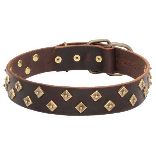 Dogue de Bordeaux Leather Collar with Brass Pyramids