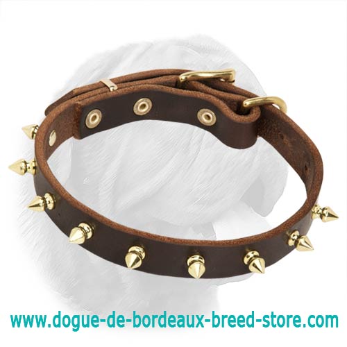 Multifunctional Amazing Spiked Dogue de Bordeaux Collar