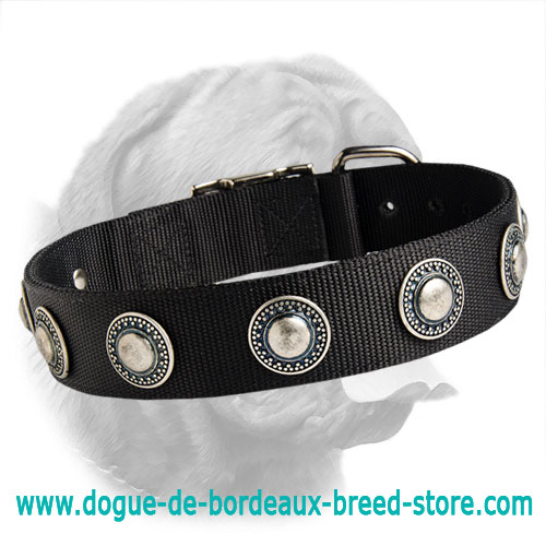 Nylon Dogue de Bordeaux Collar with Silver Conchos