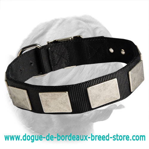 Nylon Dog Collar For Dogue de Bordeaux With Vintage Plates