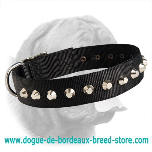 Gorgeous Wide Nylon Dogue de Bordeaux Collar With Nickel Plated Pyramids