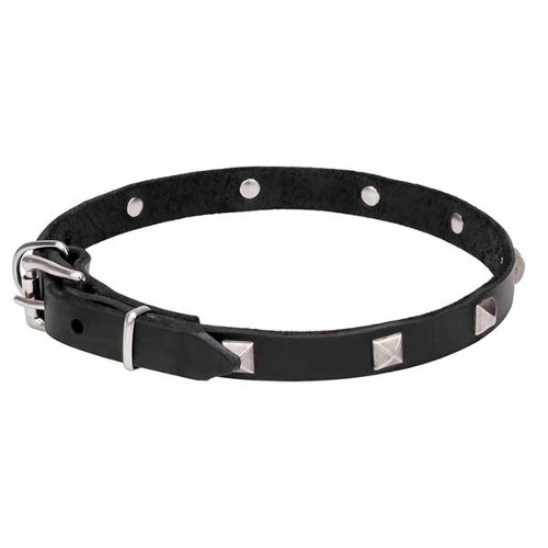 Incredible Dogue de Bordeaux Leather Collar with Chrome Plated Pyramids