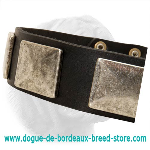 Handcrafted Strong Leather Collar with Massive Plates for Dogue de Bordeaux