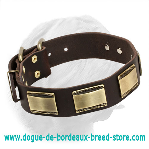 New Designer Dogue de Bordeaux Collar