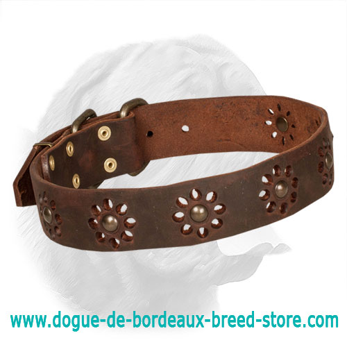 Fantastically Beautiful Leather Dogue de Bordeaux Collar