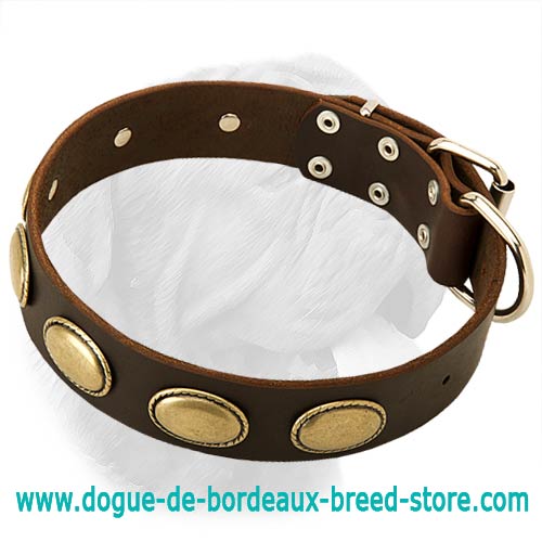 Fabulous Vintage Dogue de Bordeaux Leather Collar
