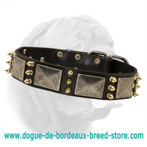 Phenomenal War Dogue de Bordeaux Leather Dog Collar