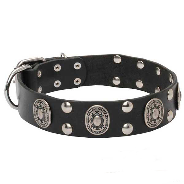 'Gothic Style' Leather Dogue de Bordeaux Collar