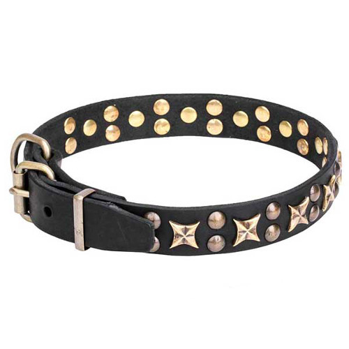 Dogue de Bordeaux Collar with Old-Fashioned Stars and Studs