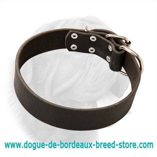 Two Ply Agitation Dogue de Bordeaux Collar