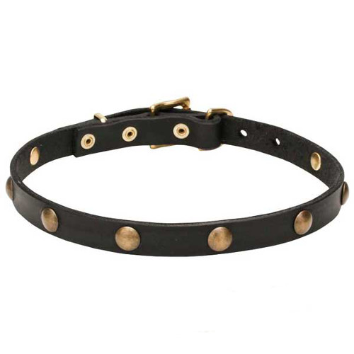 Leather Dogue de Bordeaux Collar with Goldish Brass Hardware