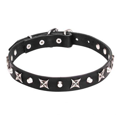 Leather Dogue de Bordeaux Collar with Shiny Nickel Plated Stars and Pyramids