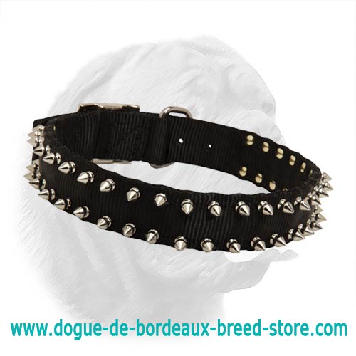 Black Nylon Spiked Dogue de Bordeaux Collar