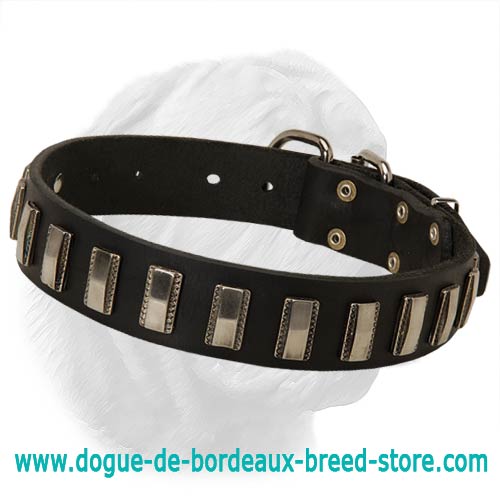 Amazing Dogue de Bordeaux Leather Collar with Plates