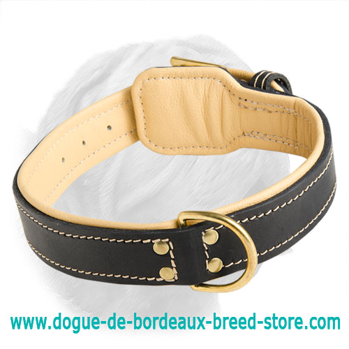 Royal Nappa Padded Hand Made Leather Dogue de Bordeaux Collar