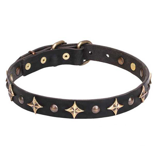 'Milky Way' Leather Dogue de Bordeaux Collar with Bronze-Plated Studs and Stars