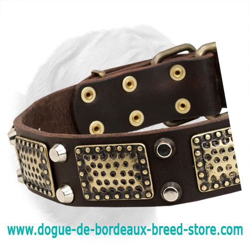High-Quality Leather Dogue de Bordeaux Collar with Old Brass Massive Plates