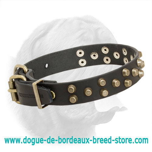 Studded Luxurious Dogue de Bordeaux Collar