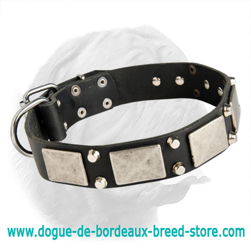 Magic Design Awesome Dogue de Bordeaux Collar