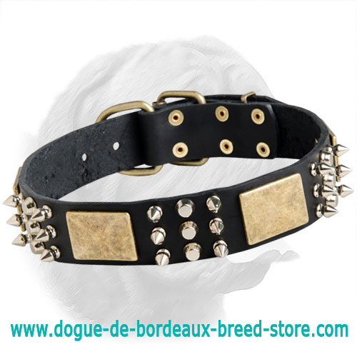 Adjustable Dogue de Bordeaux Collar with Riveted Hardware