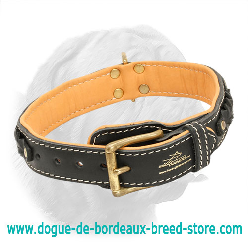 Royal Nappa Padded Hand Made Leather Dogue de Bordeaux Collar