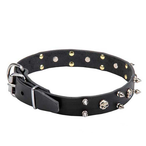 Dogue de Bordeaux Collar with Skulls and 2 Rows of Spikes