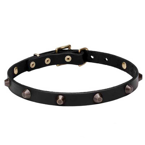 Leather Dogue de Bordeaux Collar with Brass Plated Cones