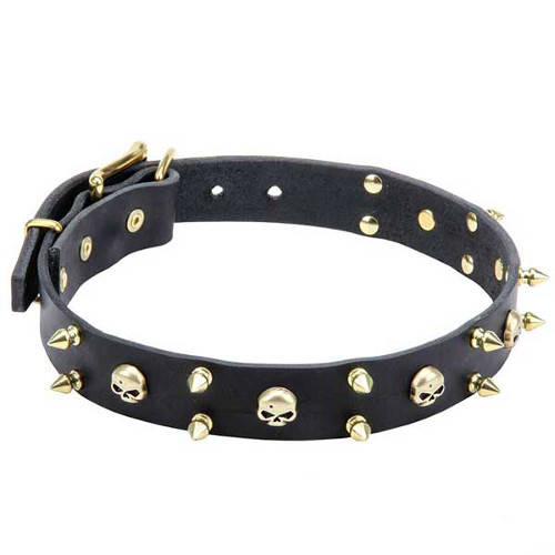 Remarkable Dogue de Bordeaux Leather Collar with Spikes and Skulls