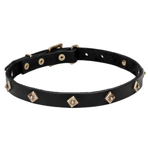 'Rhombi' Leather Dogue de Bordeaux Collar with Brass Decoration