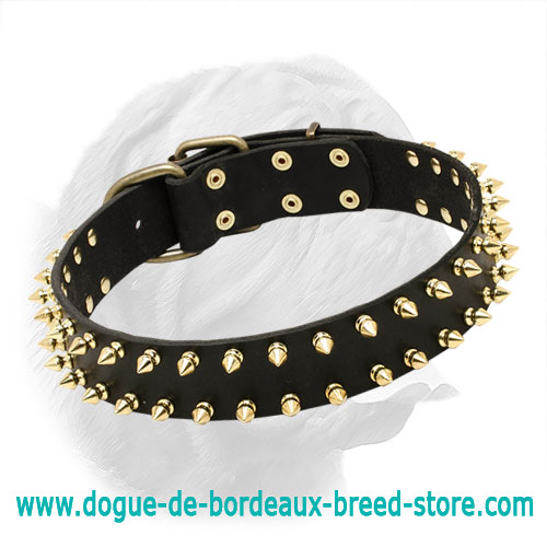 Leather Special Dogue de Bordeaux Collar With Golden-Like Spikes
