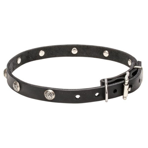 Leather Dogue de Bordeaux Collar with Engraved Studs