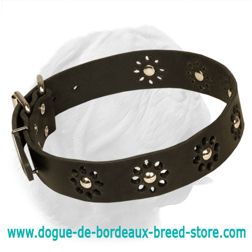 "Flower Blues" Adorable Dogue de Bordeaux Collar