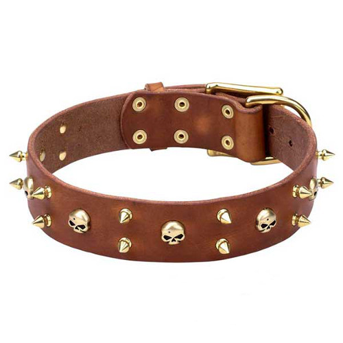 Genuine Leather Dogue de Bordeaux Collar with Brass Spikes and Skulls