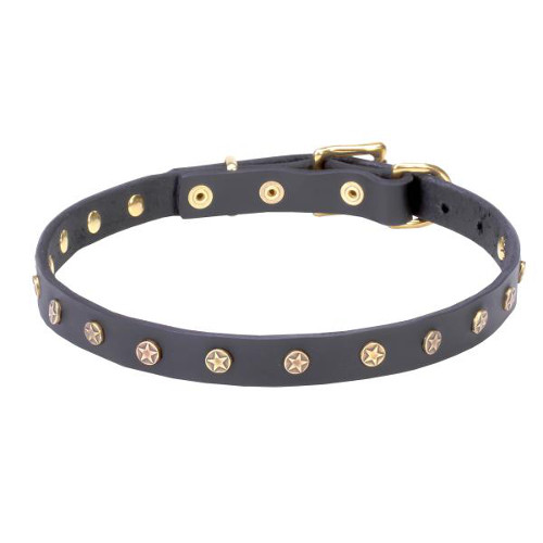 Adorable Dogue de Bordeaux Leather Collar with Handset Studs