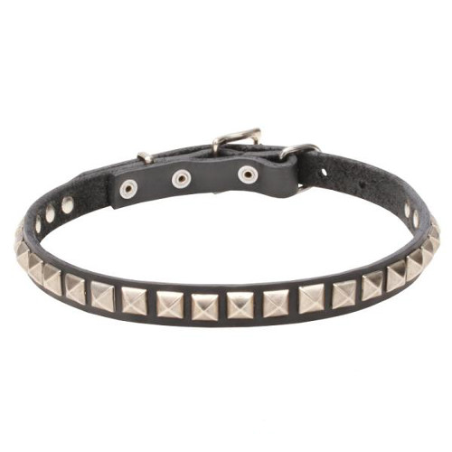 Elaborated Design Dogue de Bordeaux Collar with Chrome Plated Adornments