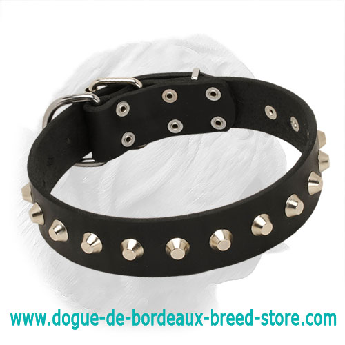 "Daily Elegance" Leather Dogue de Bordeaux Collar