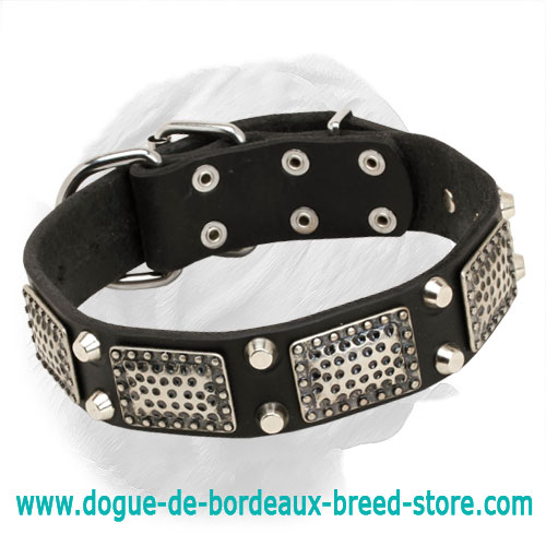 Gorgeous Handcrafted Leather Dogue de Bordeaux Collar