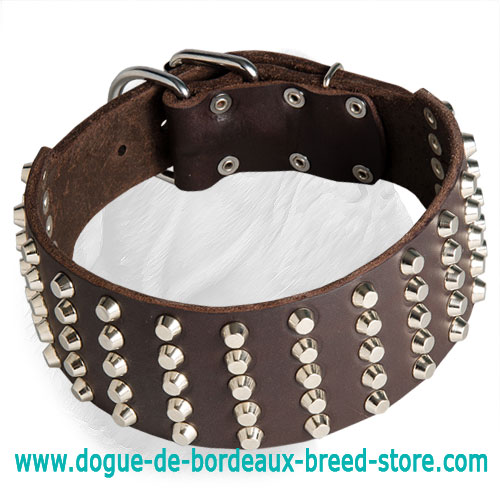 Studded Dogue de Bordeaux Collar for Stylish Walks - Click Image to Close