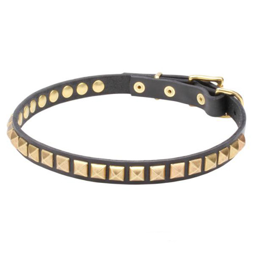 Narrow Leather Dogue de Bordeaux Collar with Brass Studs