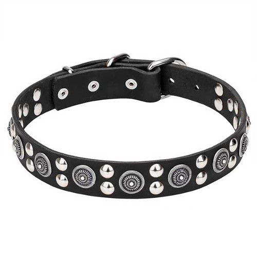 Leather Dogue de Bordeaux Collar with Silver-like Circles and Round Studs