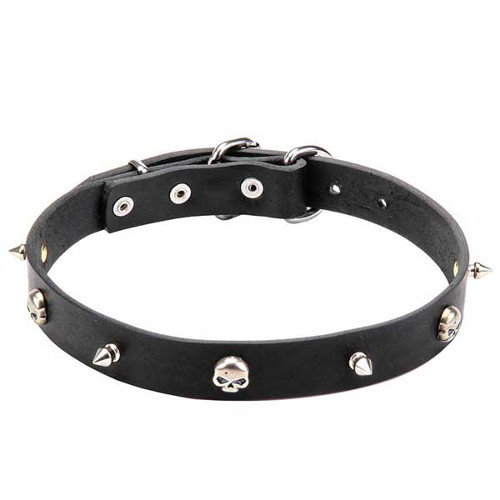 "Pirate" Leather Dogue de Bordeaux Collar with Spikes and Skulls