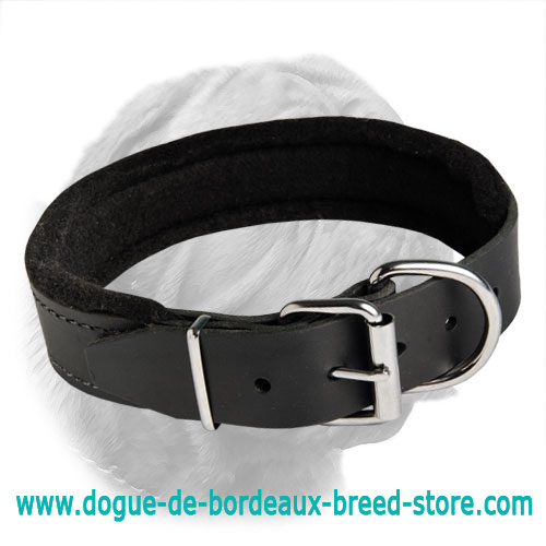 Leather Dogue de Bordeaux Collar with Thick Felt Padding