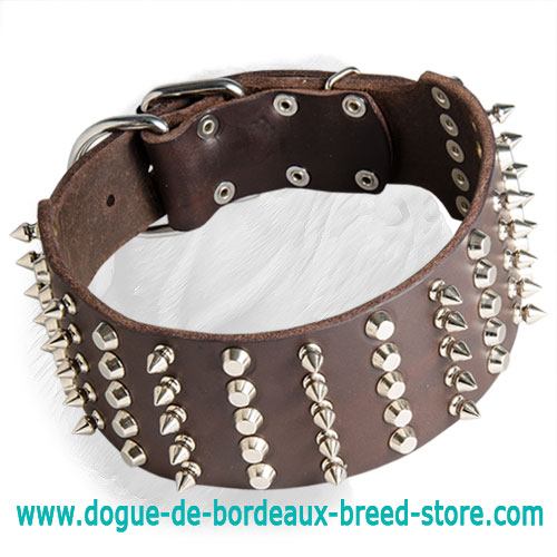 Spiked and Studded Dogue de Bordeaux Collar for a Fashionable Dog