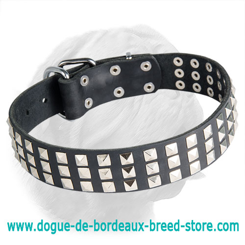 Leather Dogue de Bordeaux Collar with Steel Pyramids