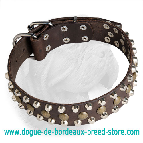 Fabulous Dogue de Bordeaux Decorated Leather Collar